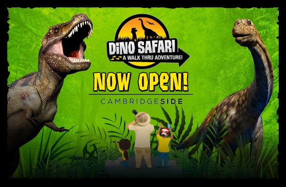 More Info for Dino Safari