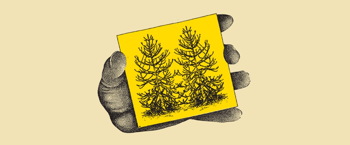 Waxahatchee & MJ Lenderman