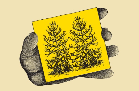 More Info for Waxahatchee & MJ Lenderman