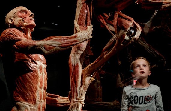 More Info for Body Worlds: The Anatomy of Happiness